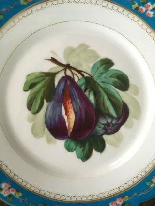 Set of 5 Antique Handpainted Porcelain Plates Realistic Fruit Floral Botanical 2
