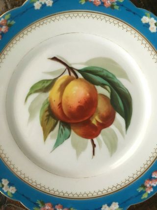 Set of 5 Antique Handpainted Porcelain Plates Realistic Fruit Floral Botanical 3
