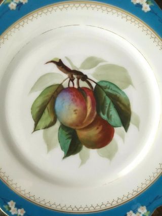 Set of 5 Antique Handpainted Porcelain Plates Realistic Fruit Floral Botanical 4