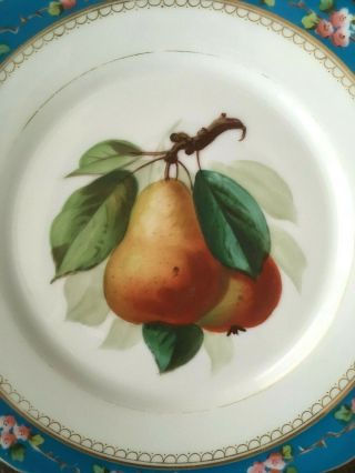 Set of 5 Antique Handpainted Porcelain Plates Realistic Fruit Floral Botanical 5