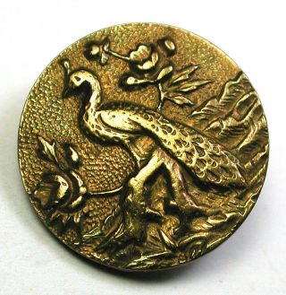 Antique Brass Button Peacock In Tree - 5/8 " Paris Back