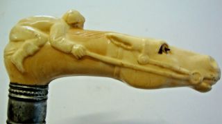 Early 20th Century Celluloid Topped Walking Stick In The Form Of A Race Horse