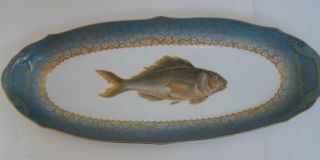 Antique T & V Limoges Large Fish Platter C 1890 1900