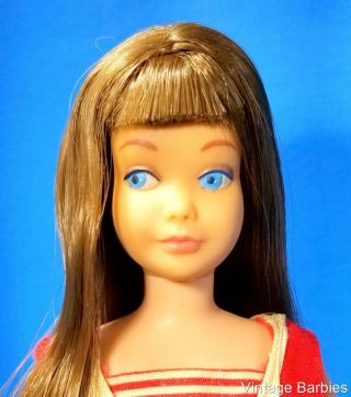 Very Pretty Brunette Skipper Doll 950 W/oss Minty Vintage 1960 