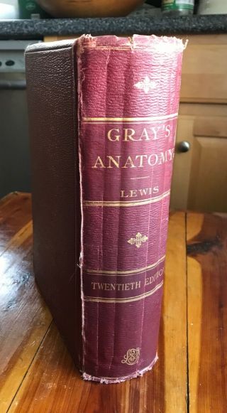 Antique Gray’s Anatomy 1918 Rare 1247 Engravings Medical