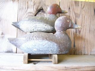 Antique - Vintage - Factory - Pratt - Redhead - Animal Trap - Victor - Wooden Duck Decoy