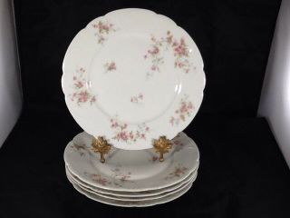 Set Of 5 Antique Theodore Haviland Limoges France Dinner Plates Perfrct Cond.