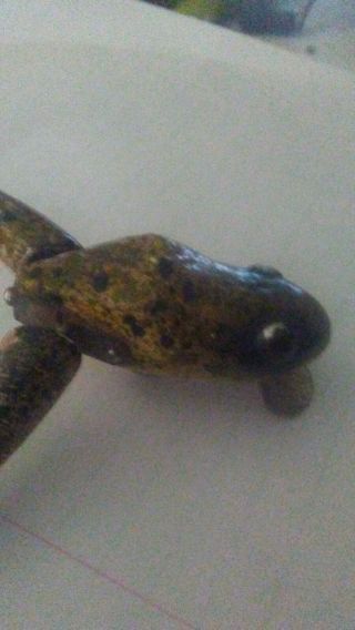 Pan Pan Frog Lure Vintage Jointed Frog Fishing Lure Some Chips