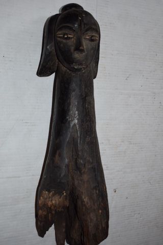 Orig $499 - Mega Fang Reliquary Figure 1900s Real 19 " Prov.