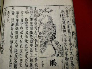 1 - 15 Japanese Wakan44 Bird Guide Woodblock Print Book