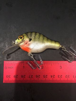 Bagley’s Small Fry Bream On White Shallow All Brass