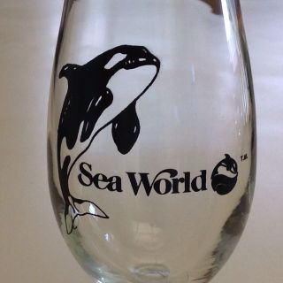 Vintage Sea World Throwback Shamu Hurricane Souvenir Glass Old Logo Orca