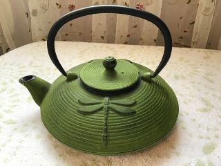 Vintage Cast Iron Chinese Green Tea Kettle Pot Porcelain Enameled Dragonfly