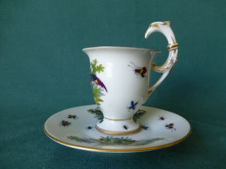Antique Dresden Hand Painted Cup & Saucer With Birds & Insects With Bird Handle