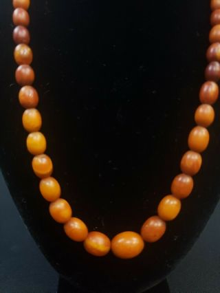 Wonderful Antique Amber Baltic Beads Necklace 8 Grams 2
