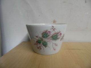 Antique Transfer Ware Moss Rose Ironstone Cup Bowl Estate Find