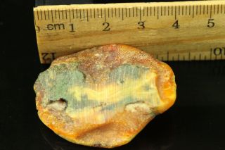 7.  1 gr.  NATURAL OLD Antique Butterscotch Egg Yolk Baltic Amber Stone B740 3