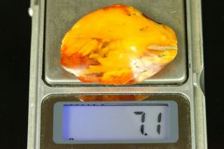 7.  1 gr.  NATURAL OLD Antique Butterscotch Egg Yolk Baltic Amber Stone B740 4
