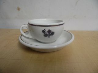 Vintage Ironstone Tea Leaf Cup And Saucer Estate Find