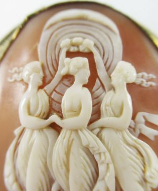 Gorgeous Antique/victorian Figural Carved Shell Cameo Yellow Gold Filled 2.  5 " X2 "
