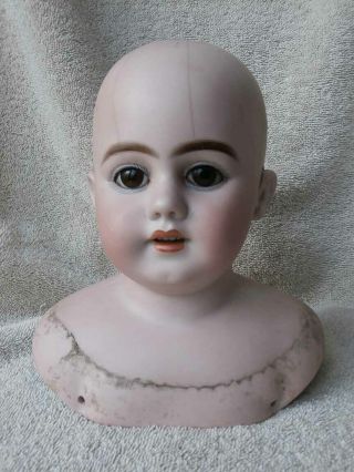 Antique S & H Simon & Halbig 1010 Bisque Doll Head Pierced Ears