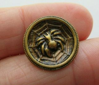 Delightful Antique Vtg Metal Picture Button Spider Insect In Web 3/4 " (o)
