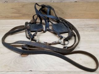 Antique Vintage Horse Mule Bridle Bit Leather Blinders Cowboy Old Western Decor