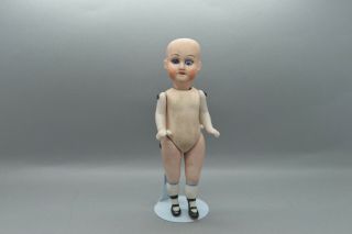 Antique Germany Porcelain Bisque Doll With Head From Armand Marseille Glass Eye