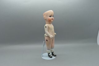 Antique Germany Porcelain Bisque Doll with Head from Armand Marseille glass eye 3