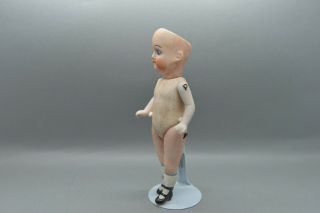 Antique Germany Porcelain Bisque Doll with Head from Armand Marseille glass eye 5