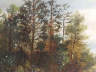 Antique American Michigan Americana Lake Trees Landscape Oil Painting Art Signed 7