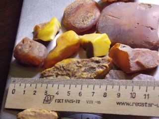 Antique natural Baltic amber stone egg yolk toffee amber 88g 老琥珀 波羅的海琥珀 7