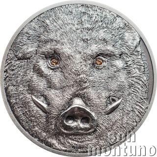 2018 Mongolia Wild Boar Wildlife Protection 1 Oz Antique Finish Silver Coin Box