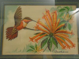 VINTAGE FRAMED RUFOUS HUMMING BIRD FROM J.  J.  CASH LTD.  COLLECTOR RANGE ENGLAND 2
