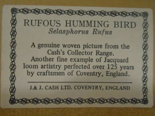 VINTAGE FRAMED RUFOUS HUMMING BIRD FROM J.  J.  CASH LTD.  COLLECTOR RANGE ENGLAND 5