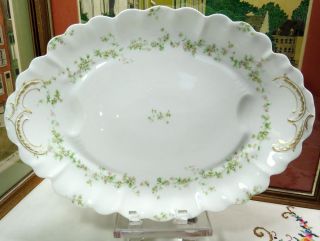 Antique Haviland & Co Limoges France Floral Large Oval 18 1/2 " Serving Platter