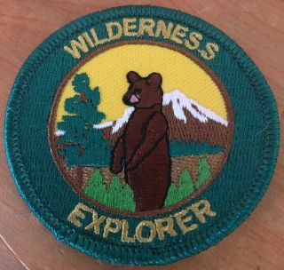 Junior Ranger Wilderness Explorer Us Parks Service National Park Patch Shi