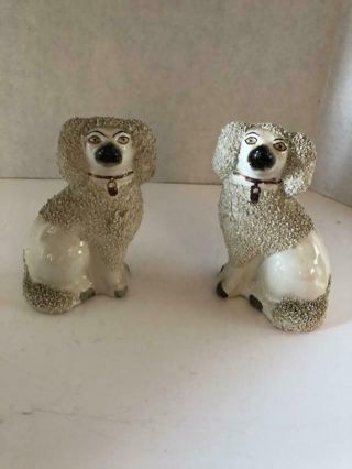 Pair Antique 5 " Staffordshire Dogs Collar Confetti Poodles Spaniels
