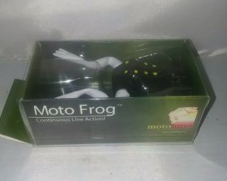 Vintage Contemporary Moto Frog Lure Black Sable Color Nib Live Action