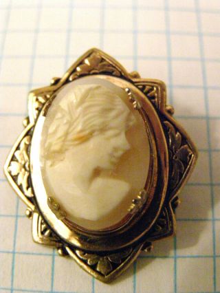 Antique Vintage Shell Cameo Brooch Pin Gold - Plated Brass