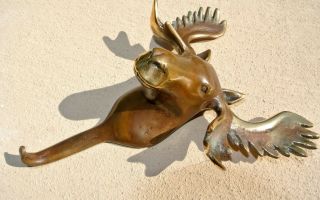 Small Moose Coat Hook Solid Age Brass Antiques Vintage Old Style 7 " Hook Heavy B