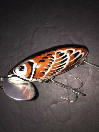 Vintage Fred Arbogast JITTERBUG Brown Sparrow Fishing Lure Awesome 3
