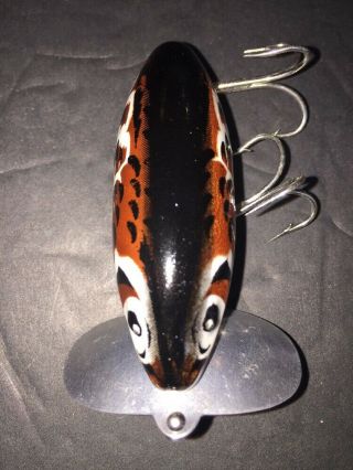 Vintage Fred Arbogast JITTERBUG Brown Sparrow Fishing Lure Awesome 4