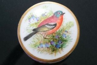 Antique Royal Worcester China Hand Painted Chaffinch Bird Mini Pot Powell1980 
