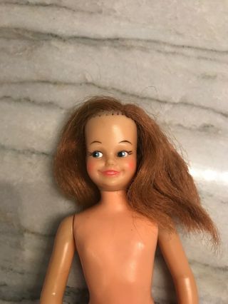 Vintage 1964 DO - 9 Ideal Toy Doll White Girl Dodi Pepper ' s Friend Tammy Family 5