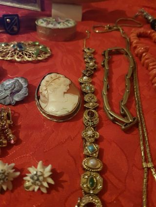 Joblot Antique Jewellery,  Cameo Shell Brooches,  Sun,  Moon And Start Bracelet.