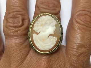 HSN DESIGNER AMEDEO VICTORIAN SHELL CAMEO RING SZ 9 ANTIQUE GOLD TONE WEAVE BAND 8