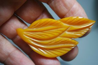 Vintage Antique Egg Yolk Bakelite Amber Color Carved Leaf Pin Brooch
