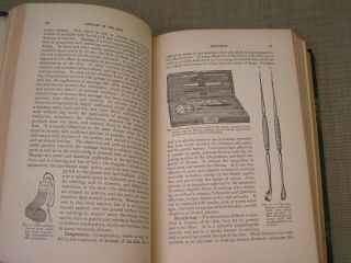 Diseases of the Skin 1892 John V.  Shoemaker Antique Medical Book w/Color Plates 4