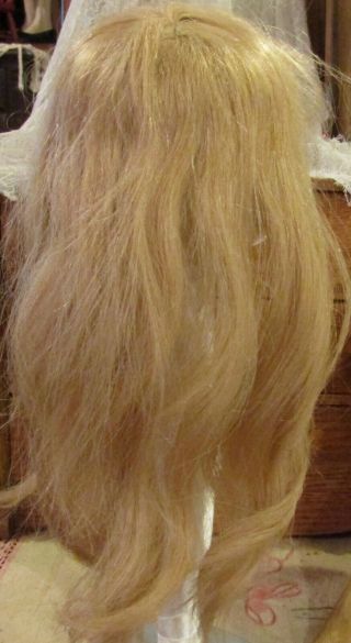 G181 Vintage 8 " French Human Hair Doll Wig For Antique Bisque Doll